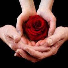 Reader's Theatre at DUPAC Offers THE ROSE NIGHT Reading 10/15